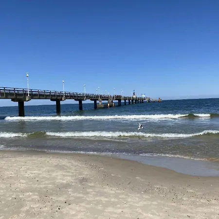 Marin, 05 ツィノヴィッツ