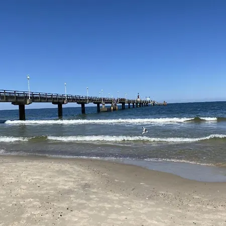 Marin, 05 *